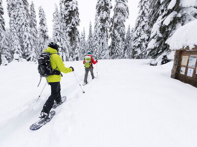 MSR - DynaLock Trail Backcountry Poles