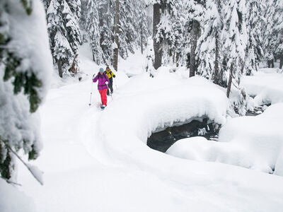 MSR - DynaLock Trail Backcountry Poles