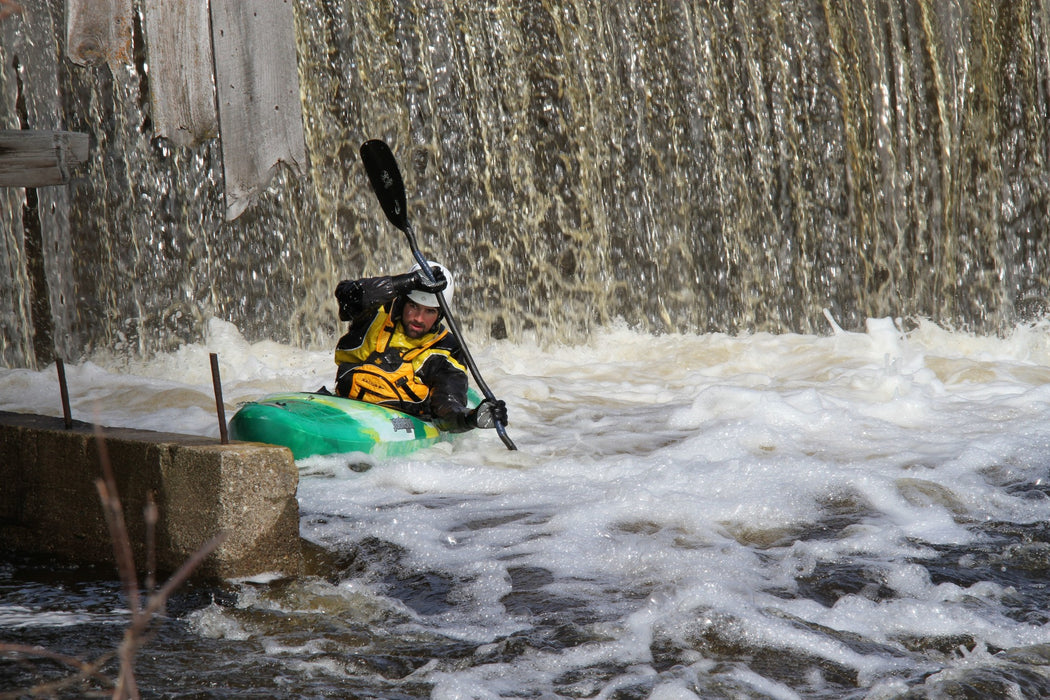 Salus - Proto PFD